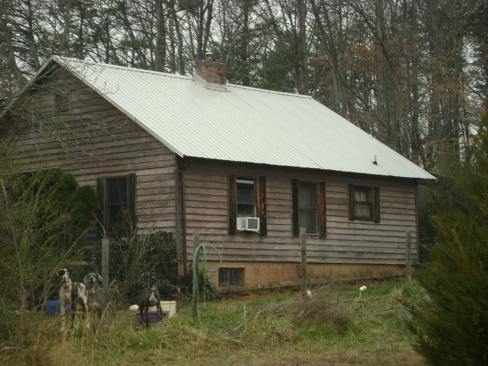 White metal roof on an old wood sided farmhouse, from a Asphalt Shingle Roof Repair job in Cedarpines Park